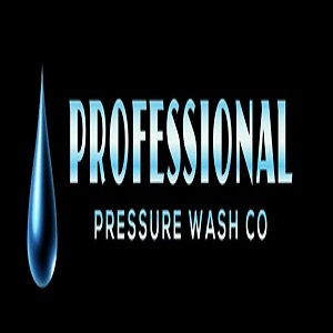 Professional Pressure Wash Co.